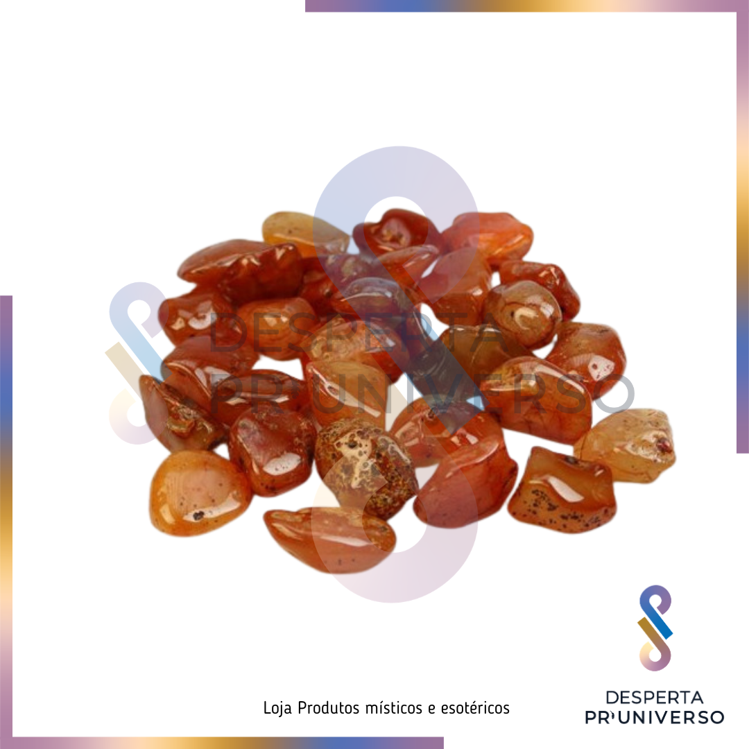 Cornalina (1-2CM) — Energia | Motivação | Criatividade