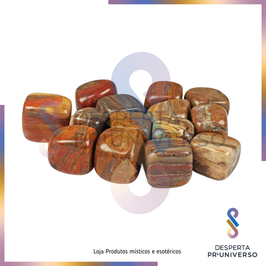 Fóssil Xilópalo (Madeira Fossilizada) — Estrutura | Paciência | Estabilidade de Vida