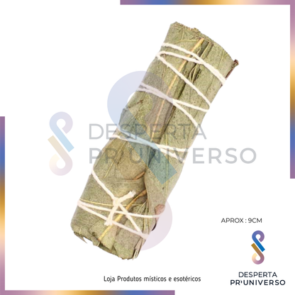 Tocha de Eucalipto – Limpeza e Proteção