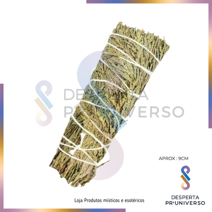 Tocha de Cedro – Proteção, Força & Enraizamento